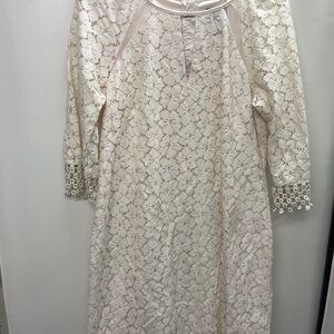 Elegant Cream Lace Dress Adrianna Papell 12